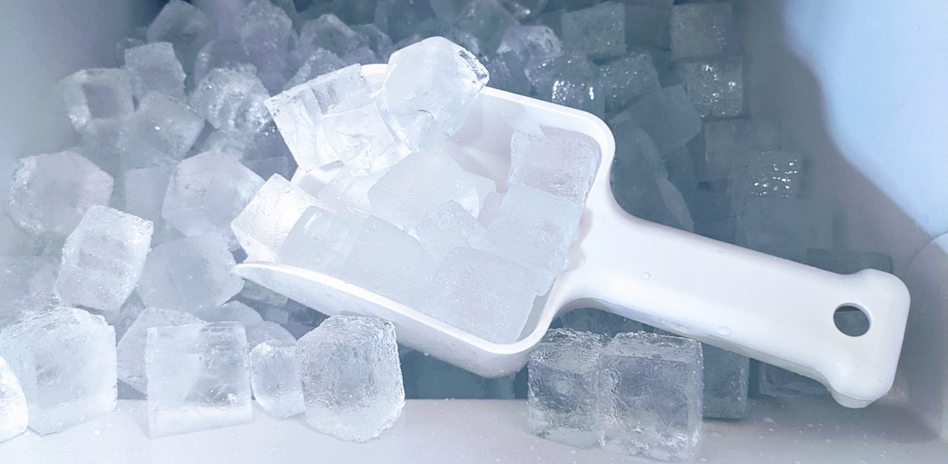 堺市で厨房用製氷機を処分する３つの方法